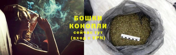 СК Богородск