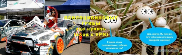 соль ск Богородицк