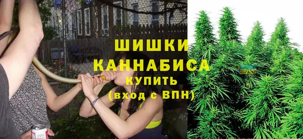соль ск Богородицк