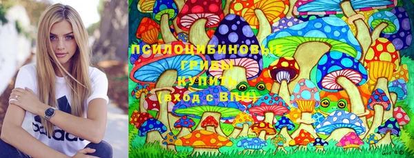 соль ск Богородицк