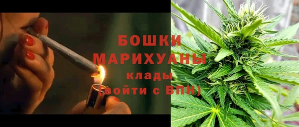 соль ск Богородицк