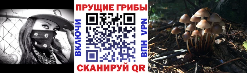 Галлюциногенные грибы мицелий  Череповец 